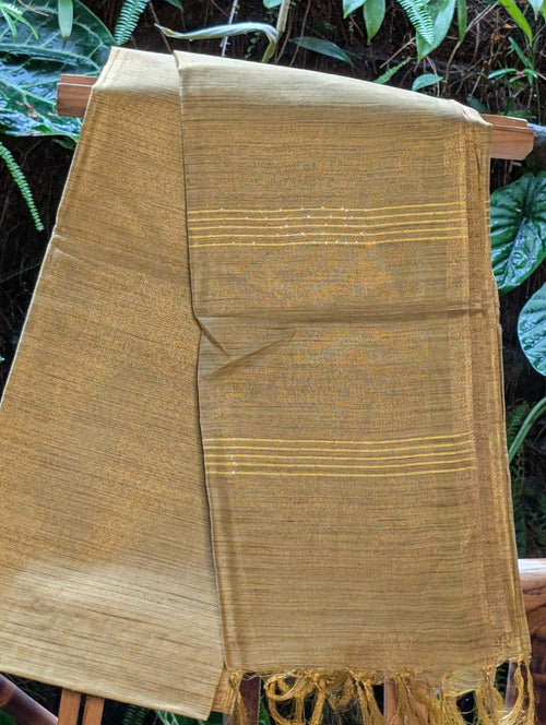 Banswara Tissue Saree