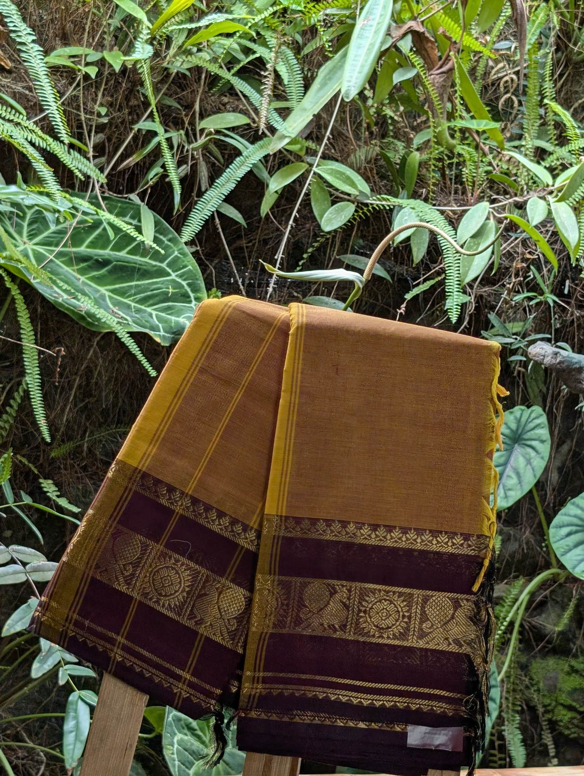Chettind Cotton