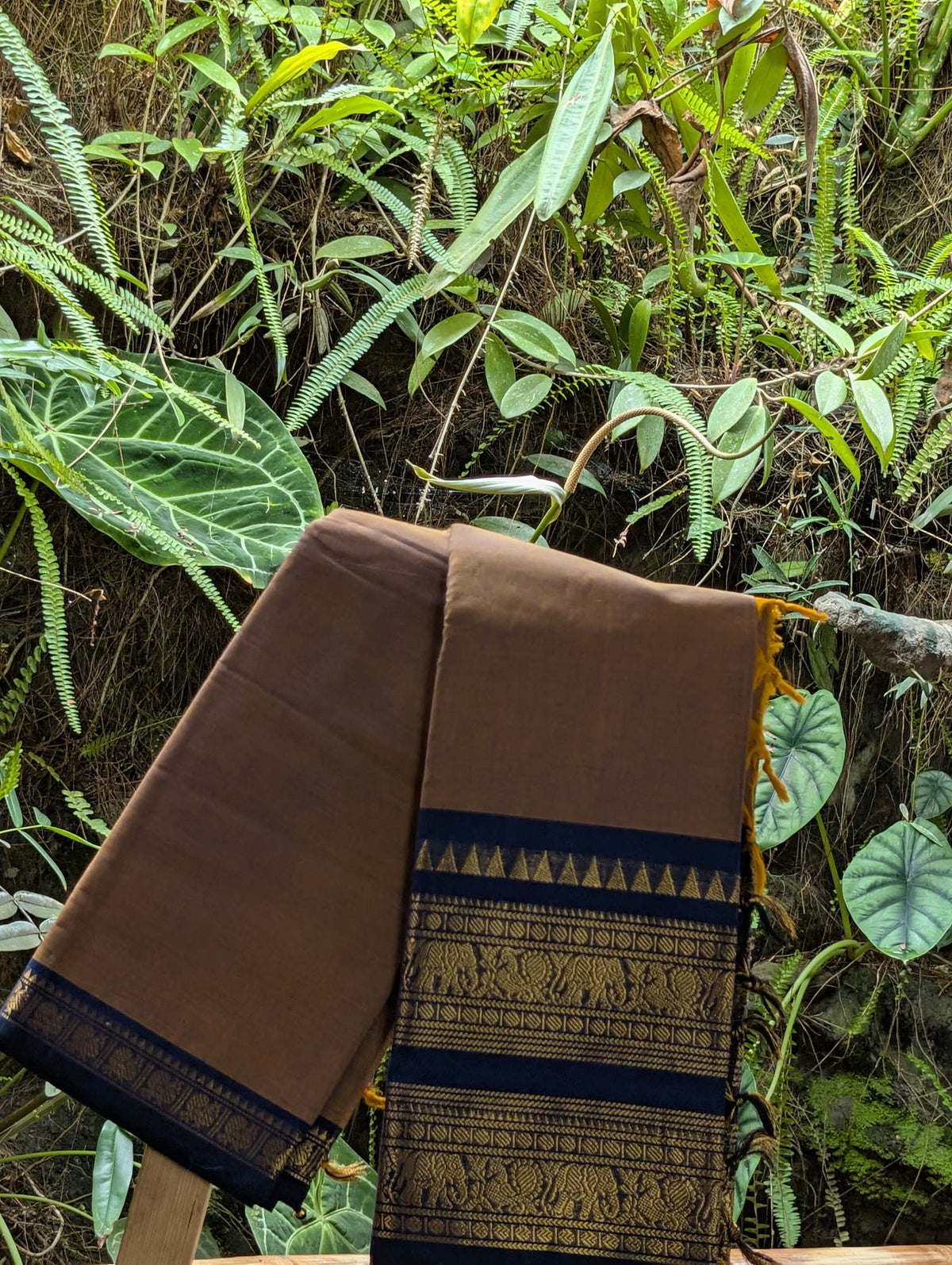 Chettind Cotton