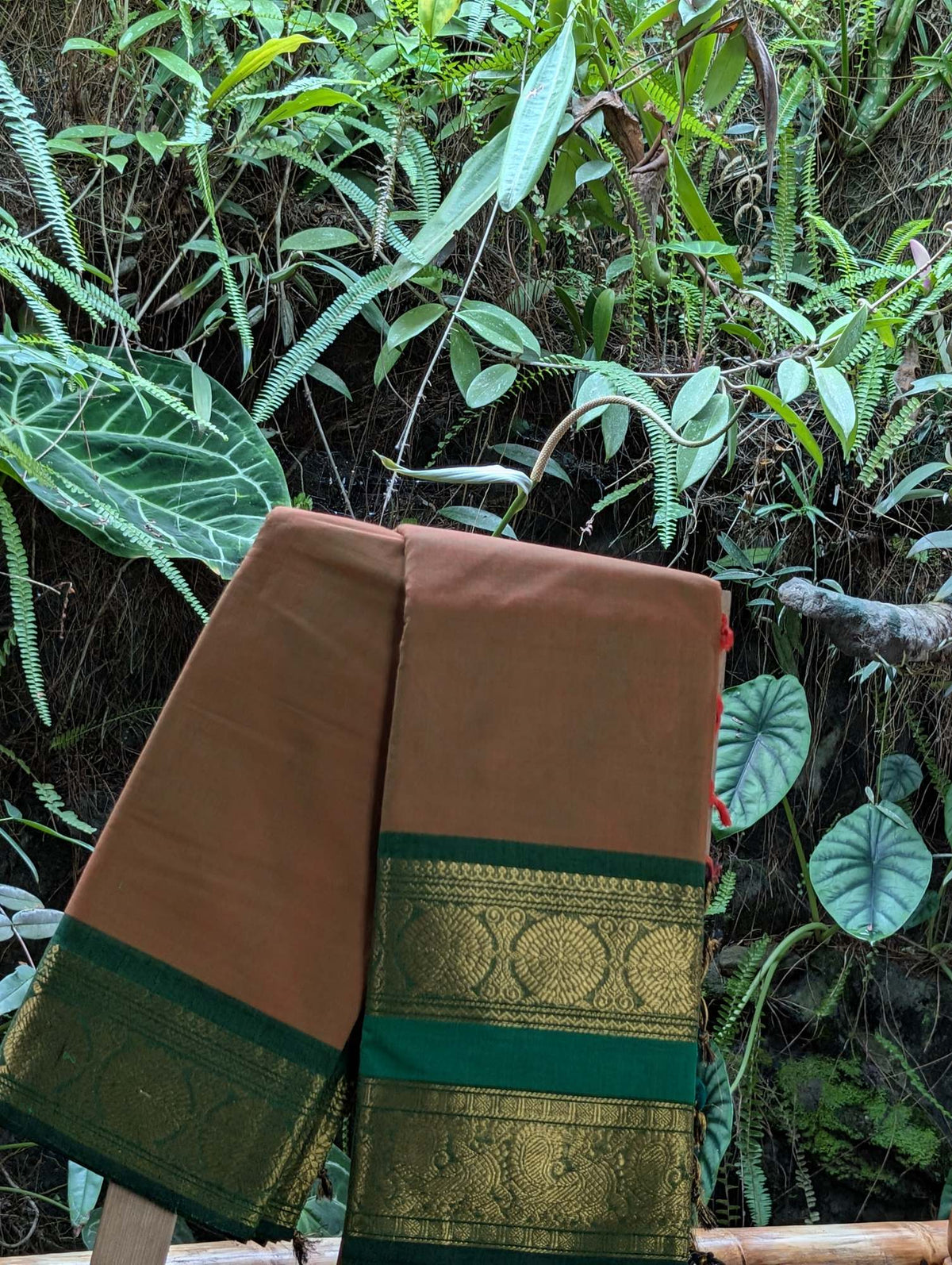 Chettind Cotton