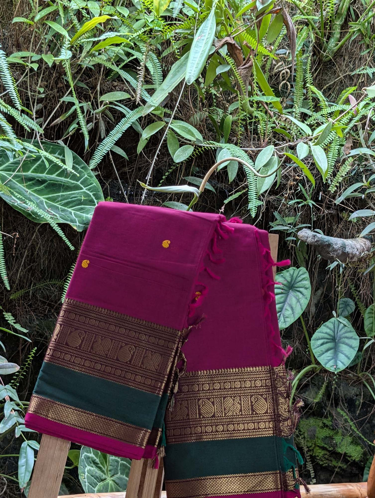 Chettind Cotton