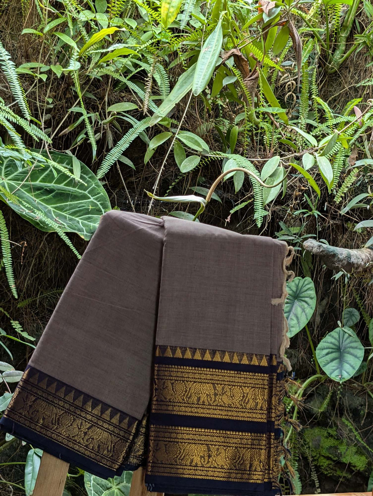 Chettind Cotton