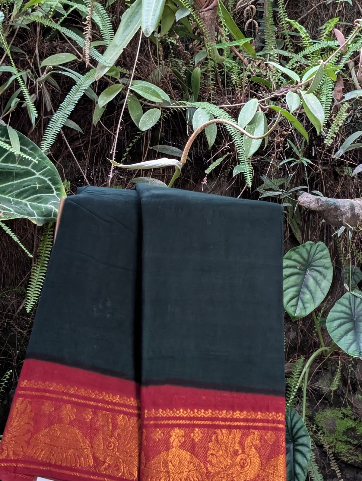Madura Cotton Saree