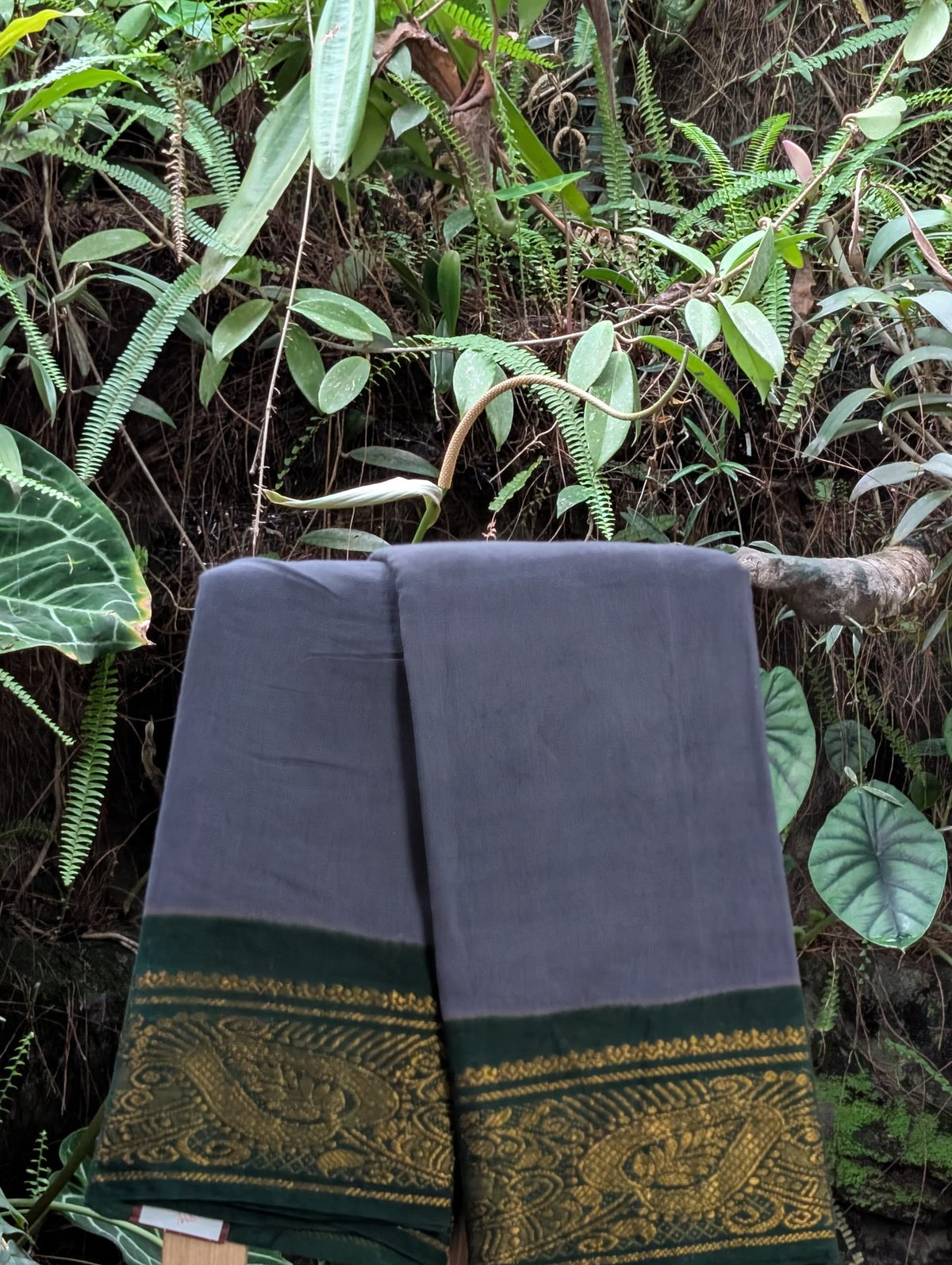Madura Cotton Saree