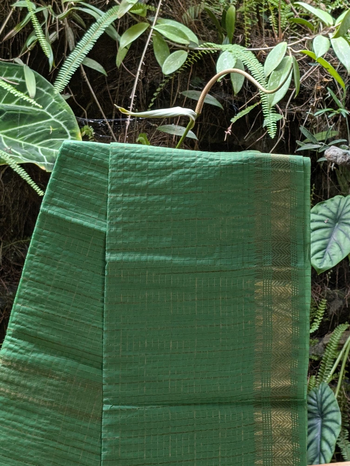 Mangalgiri Check