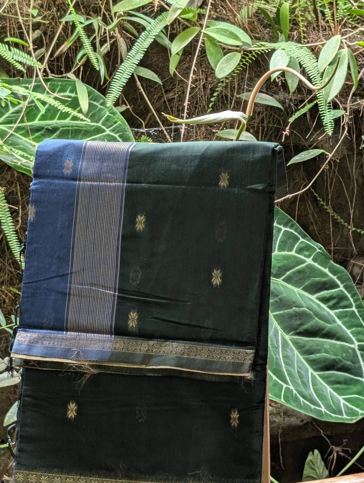 Msilk